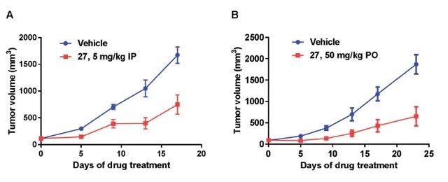 XY101 可明显抑制小鼠体内肿瘤的生长