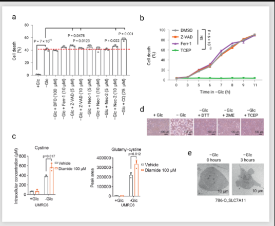 葡萄糖饥饿条件下的细胞死亡方式