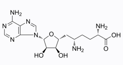 Sinefungin是一种SET7/9抑制剂